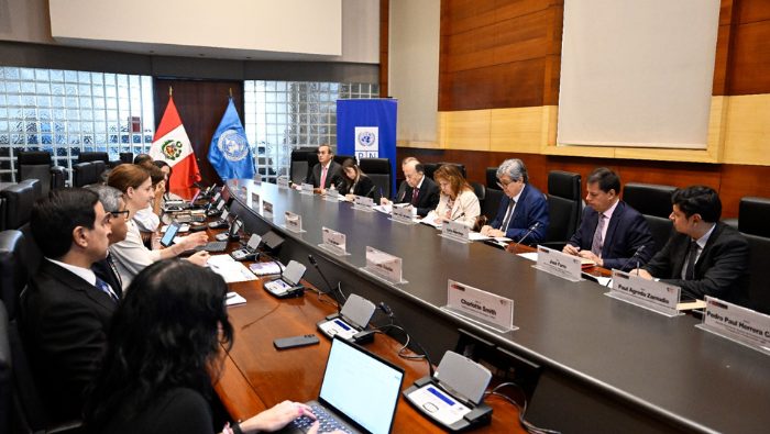 Comité ejecutivo define perspectivas del Programa País para 2025