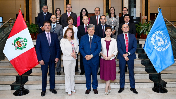 Comité ejecutivo define perspectivas del Programa País para 2025