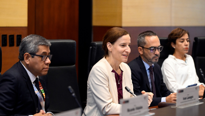 Comité ejecutivo define perspectivas del Programa País para 2025