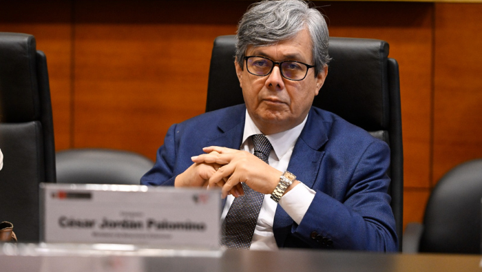Comité ejecutivo define perspectivas del Programa País para 2025