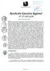 Vista preliminar de documento RER 211-2025-GOB