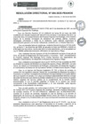 Vista preliminar de documento rd084-2025