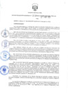 Vista preliminar de documento 228-2025-RER