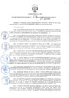 Vista preliminar de documento 229-2025-RER
