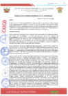 Vista preliminar de documento RESOLUCION_10