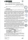 Vista preliminar de documento rd088-2025