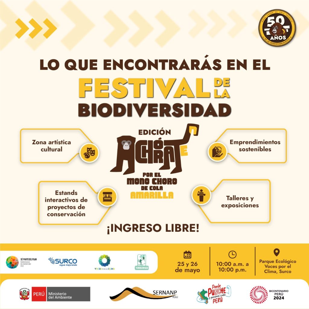 Celebración de la biodiversidad peruana en el Festival 'Achórate por el Mono Choro de Cola Amarilla'