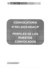 Vista preliminar de documento PERFILES DE PUESTO