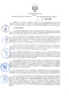 Vista preliminar de documento RER.231