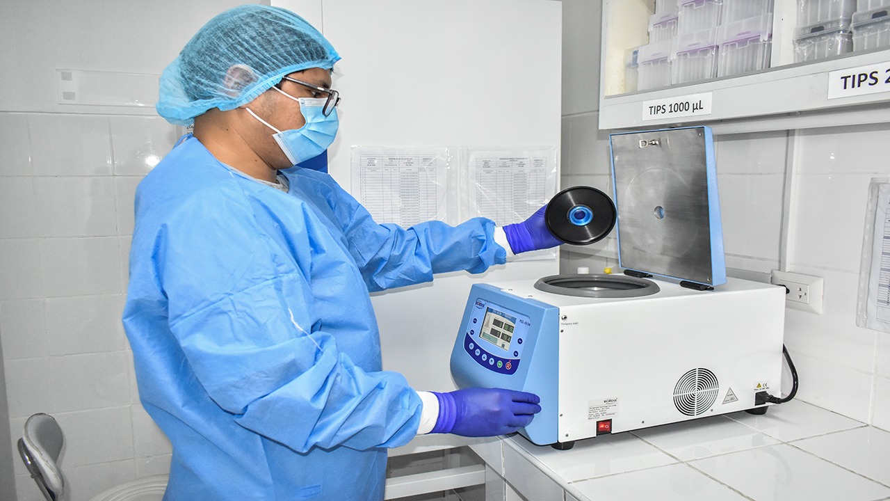 diagnóstico molecular del dengue