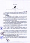 Vista preliminar de documento -4564399362775650244