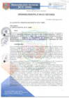 Vista preliminar de documento OM006-2017