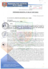 Vista preliminar de documento OM008-2017