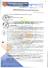 Vista preliminar de documento OM009-2017