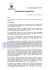 Vista preliminar de documento RE Nº 015-2025-OEA-INSM