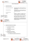Vista preliminar de documento Ficha de Homologación Perfil de instalación de puente modular