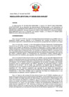 Vista preliminar de documento RESOLUCION JEFATURAL-000038-2025-ANIN-JEF