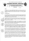 Vista preliminar de documento RESOLUCION N 262