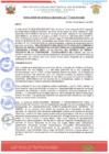 Vista preliminar de documento RESOLUCION_29