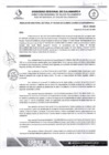 Vista preliminar de documento RDS N 195 AJ