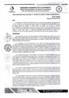 Vista preliminar de documento RDS N 196 AJ
