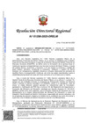 Vista preliminar de documento RDR-1298-2025-DRELM