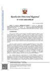 Vista preliminar de documento RDR-1331-2025-DRELM