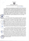 Vista preliminar de documento RGSR-115-2025