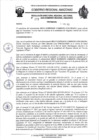 Vista preliminar de documento RESOLUCION N 272