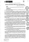 Vista preliminar de documento rd091-2025