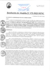 Vista preliminar de documento RA175-2025