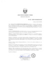 Vista preliminar de documento RD_115_2025_MINEM_DGAAM