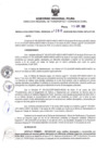 Vista preliminar de documento RDR N°286-2025-15-04-2025