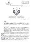 Vista preliminar de documento RESOLUCION DIRECTORAL N° 096-2025-JEFE DE APOYO AL TRATAMIENTO DRA OFELIA AGUIRRE ROMERO 