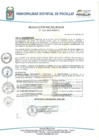Vista preliminar de documento Resolución N° 124-2012-MDP-T