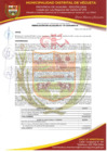 Vista preliminar de documento RESOLUCION DE ALCALDIA 057-2025-MDV