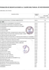 Vista preliminar de documento Anexo N° 06 Aprobación de Modificaciones al Cuadro Multianual de Necesidades N° 031 PEBLT 2025