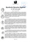 Vista preliminar de documento RER 230-2025-GOB