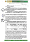 Vista preliminar de documento RGM-211-2025-GM-MPLC