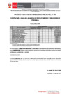Vista preliminar de documento 4.- Resultado Final