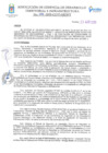 Vista preliminar de documento RESOLUCION DE GERENCIA DE DESARROLLO TERRITORIAL E INFRAESTRUCTURA N°049-2025-GDTI-MDP/T