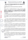 Vista preliminar de documento 0171-2025RG