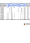 Vista preliminar de documento Formato A.1 - Presupuesto Analítico de Personal