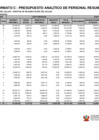 Vista preliminar de documento Formato C - Presupuesto Analítico de Personal - Resumen