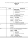 Vista preliminar de documento Estado de ejecución del presupuesto de ingresos y gastos ejercicio 2019