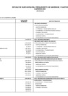 Vista preliminar de documento Estado de ejecución del presupuesto de ingresos y gastos 2021