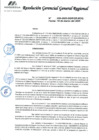 Vista preliminar de documento DIRECTIVA GENERAL N.º 002-2025-GRM/GRI-SO