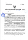 Vista preliminar de documento 01269 RDR 2024 DISPONER LA NULIDAD PARCIAL DE OFICIO RD N°2510-2023-WAYNER TOLENTINO JAIMES