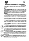 Vista preliminar de documento 115-2025-GM-MDM