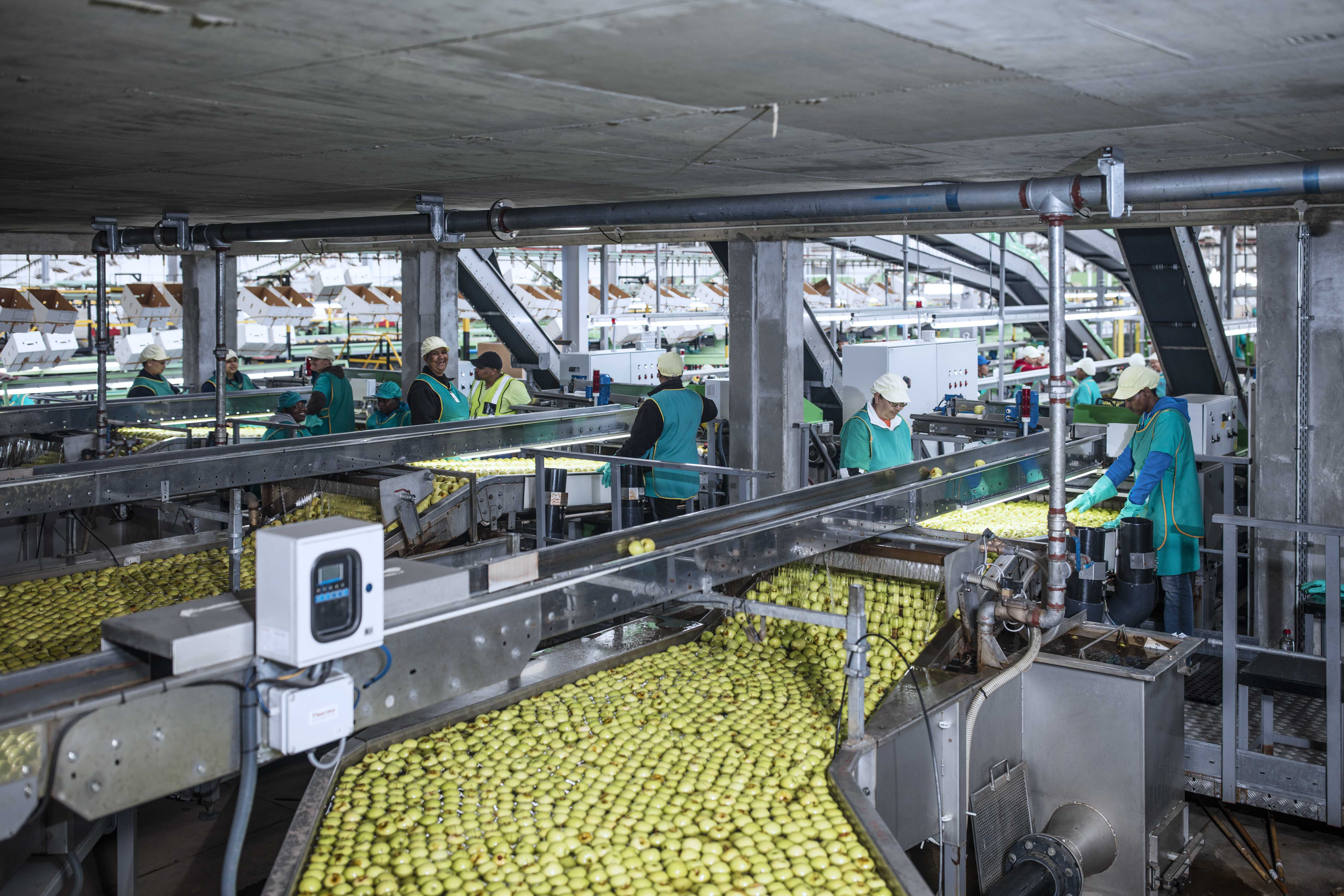 La Libertad: Inacal impulsa la economía circular en el sector agroindustrial